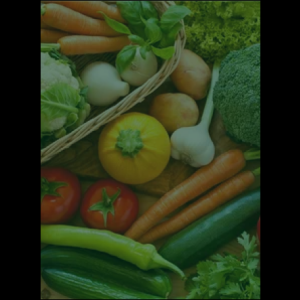 vegetable_original_copy_2_copy_1_copy_1